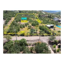 Se Vende Terreno 5.000 M2, Loteo Lomas De Rauquen.