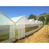 Plastico Agrofilm Para Invernadero Calibre 6, 8 Y 10