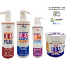 Encaracolando A Juba +shampoo+ Geleia +másc Widi Care