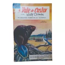 O Vale Do Castor - Walt Disney - Nº 10 - Hq