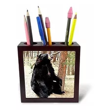 Black Bear - Portalápices Para Azulejos, 5 Pulgadas (ph 787 