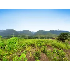 Terreno En Yunguilla - Lacay 1000m2 ¡¡aprovecha Esta Gran Oportunidad¡¡