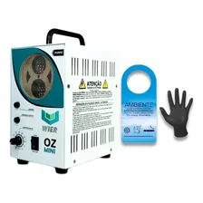 Gerador De Ozônio 10.000mg/h Automotivo E Ar Ambientes Cor Branco 110v/220v