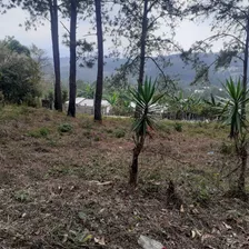 Venta De Terreno, Chorreritas Siguatepeque Detalles 