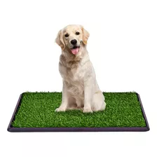 Alfombrilla Para Orinal Para Mascotas, Para Entrenamien...