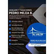 Avaluos Inmobiliarios 