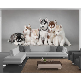 Husky Siberiano Marrom Casa Móveis E Decoração No Mercado Livre