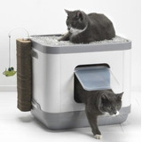 Arenero Cama Juguete Gato Cat Concept Moderna Lujo C/envío