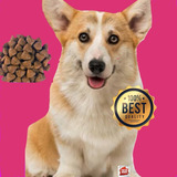 Adulto Raza Pequeña 20kg +1kg Gratis
