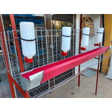Jaula Modulo Para Gallinas Ponedora 12 A 15 Aves