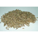 1 Kg De Hinojo + 1 Kg De Fenogreco + Envío Incluido Bnature