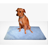 Jornal Pet Para Cachorro 500 Unid, Sem Impressão, Reciclado,tapete Papel Reciclado Cinza, Boa Absorção Top + Brinde