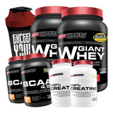 Combo Duplo Whey Protein + 2x Bcaa + 2x Creatina + Shaker
