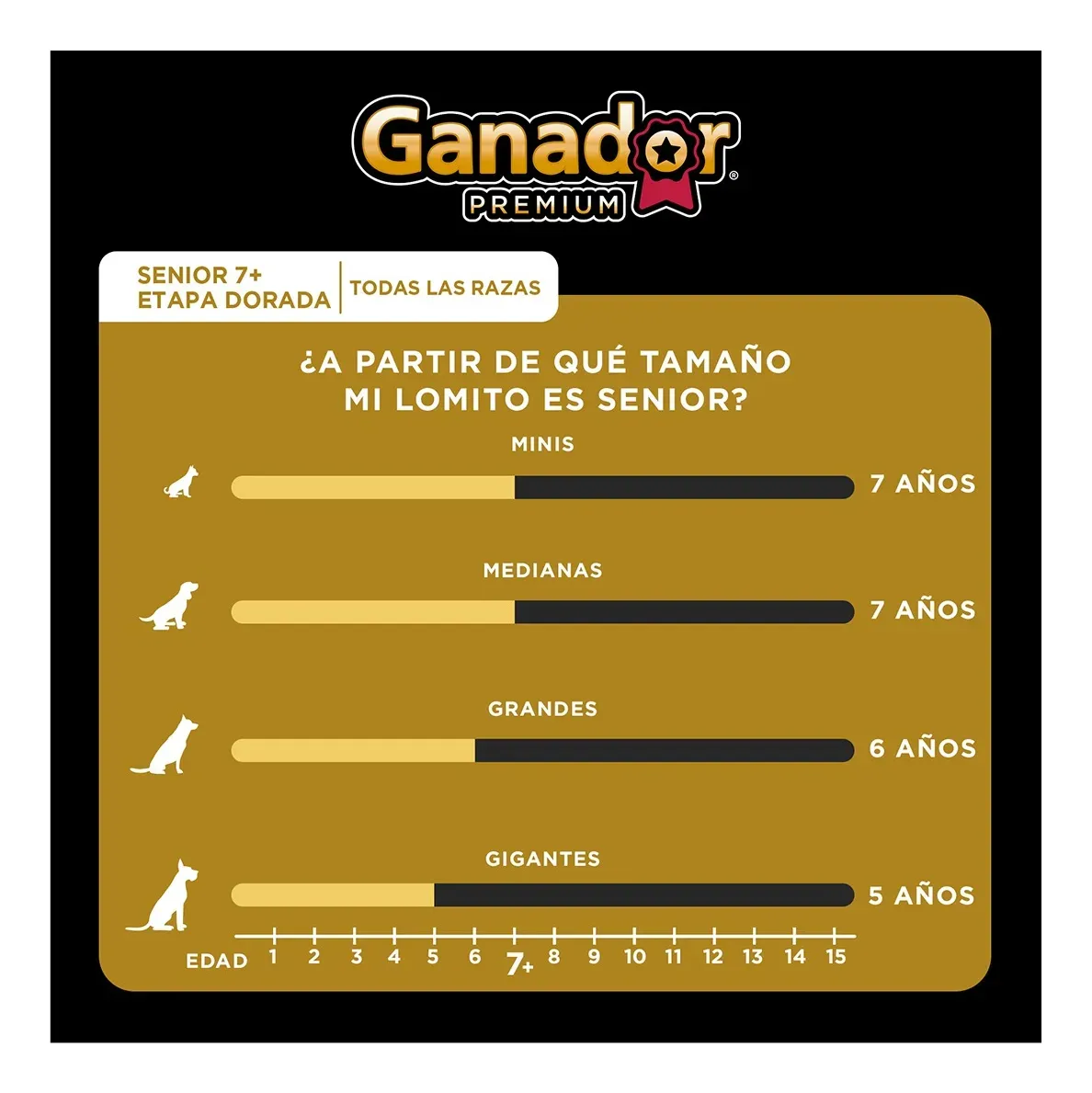 Ganador Premium | MercadoLibre