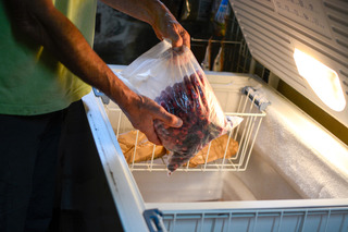 Homem conservando alimento no freezer