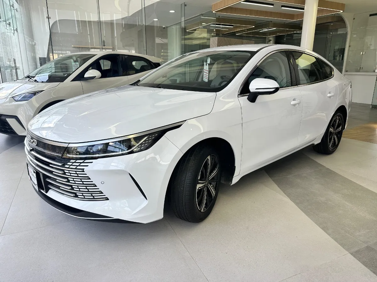 Byd King