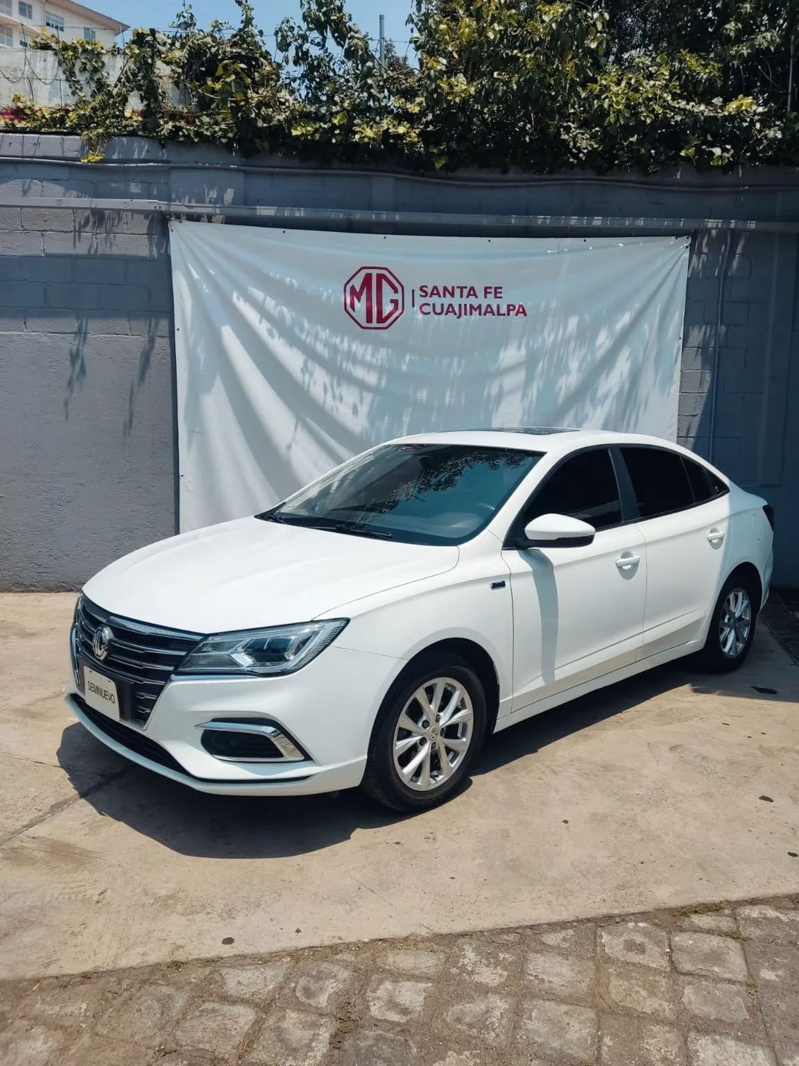 Mg Mg 5 2023