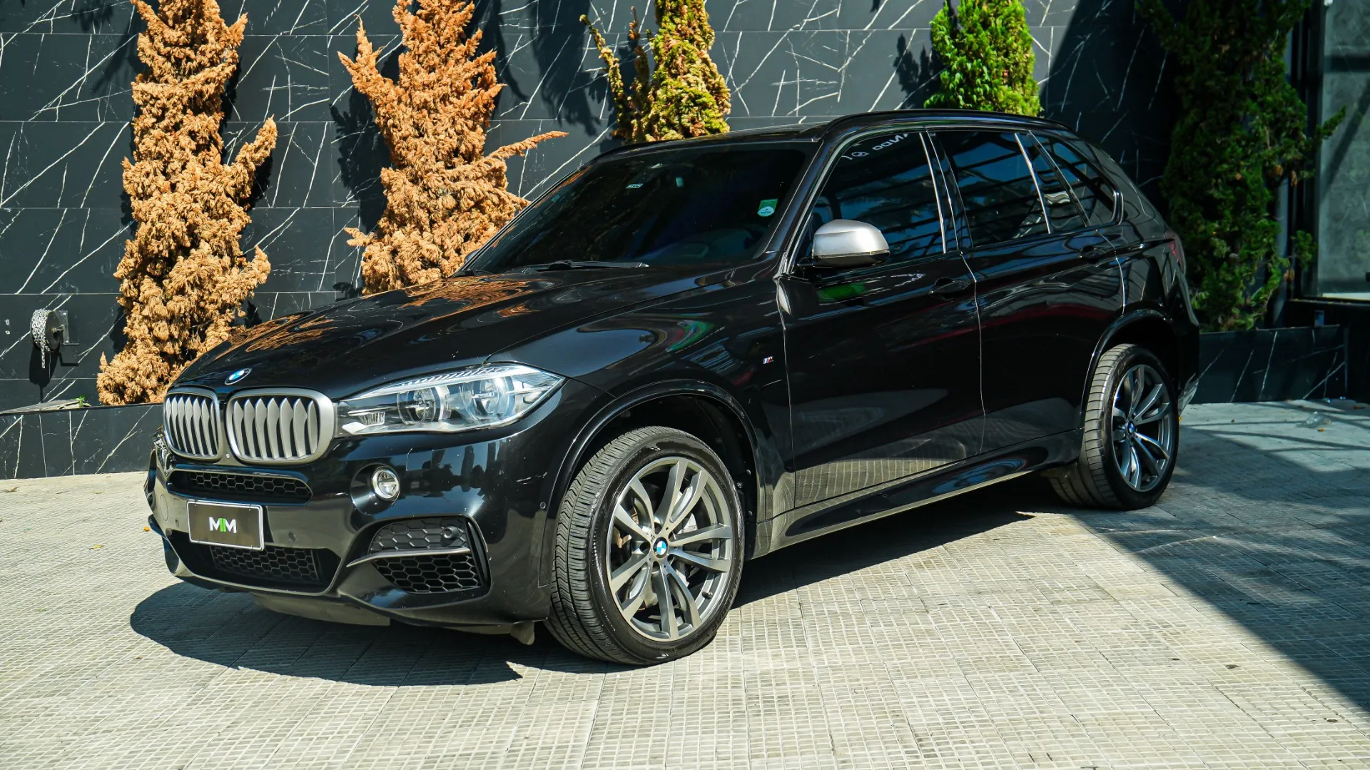 Bmw X5 3.0 4x4 M50d I6 Turbo Diesel 4p Automático