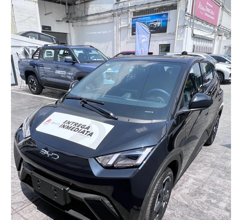 Byd Dolphin Mini Ev
