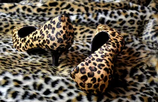 Zapatos Animal Print sobre una alfombra atigrada