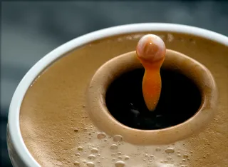 ¿Nespresso Creatista o Plus? La difícil decisión de todo amante del café