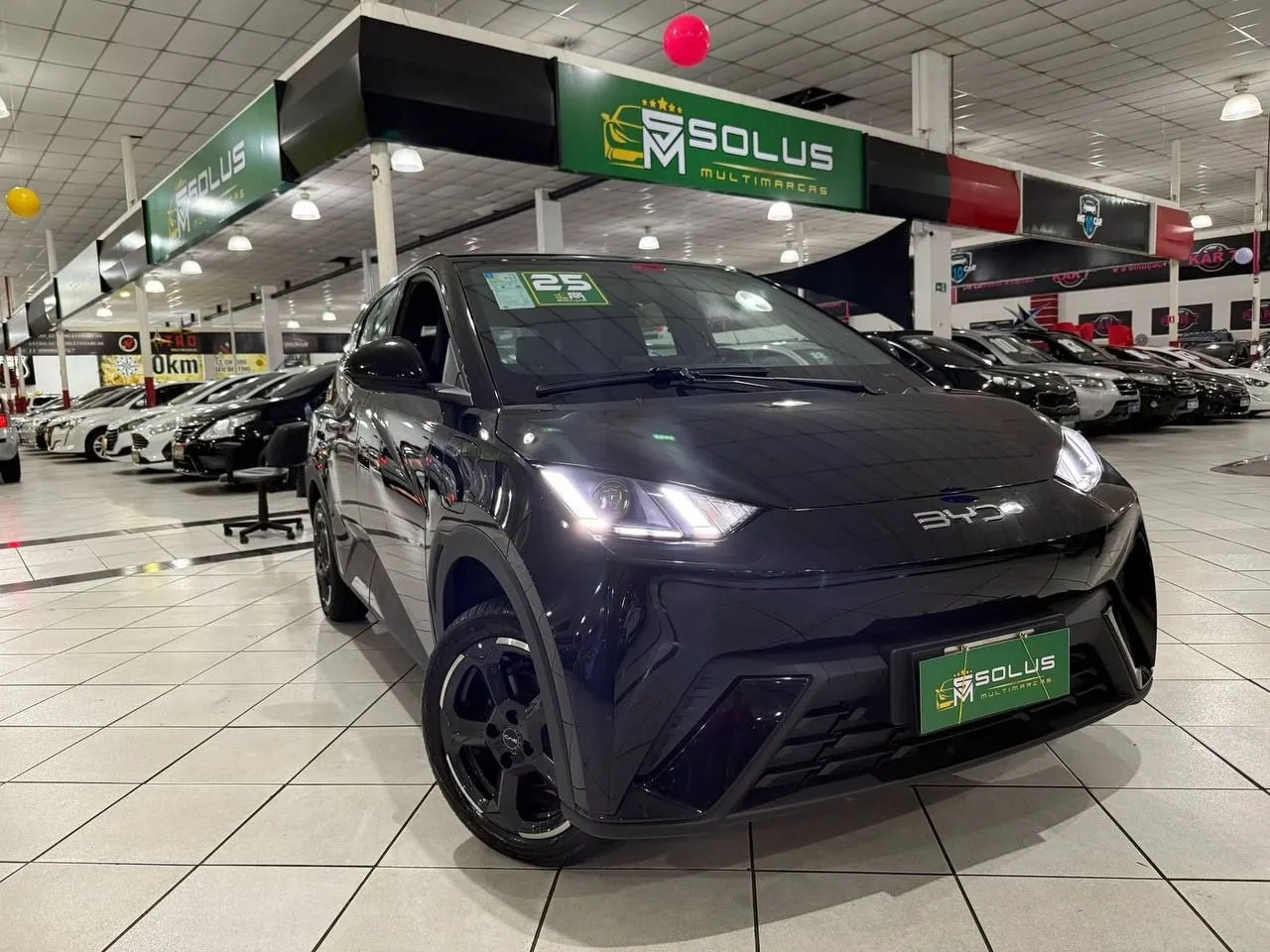 Byd Dolphin Mini 38 Kw Elétrico