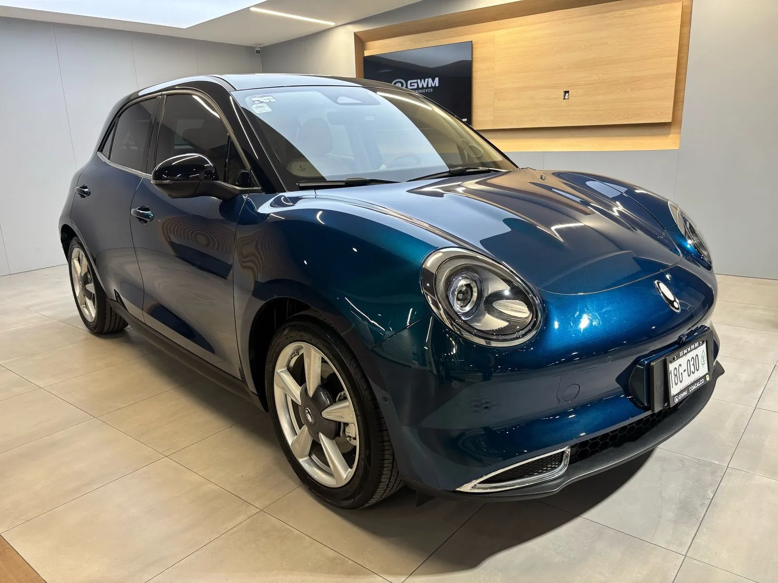 Gwm Tank 300 2025