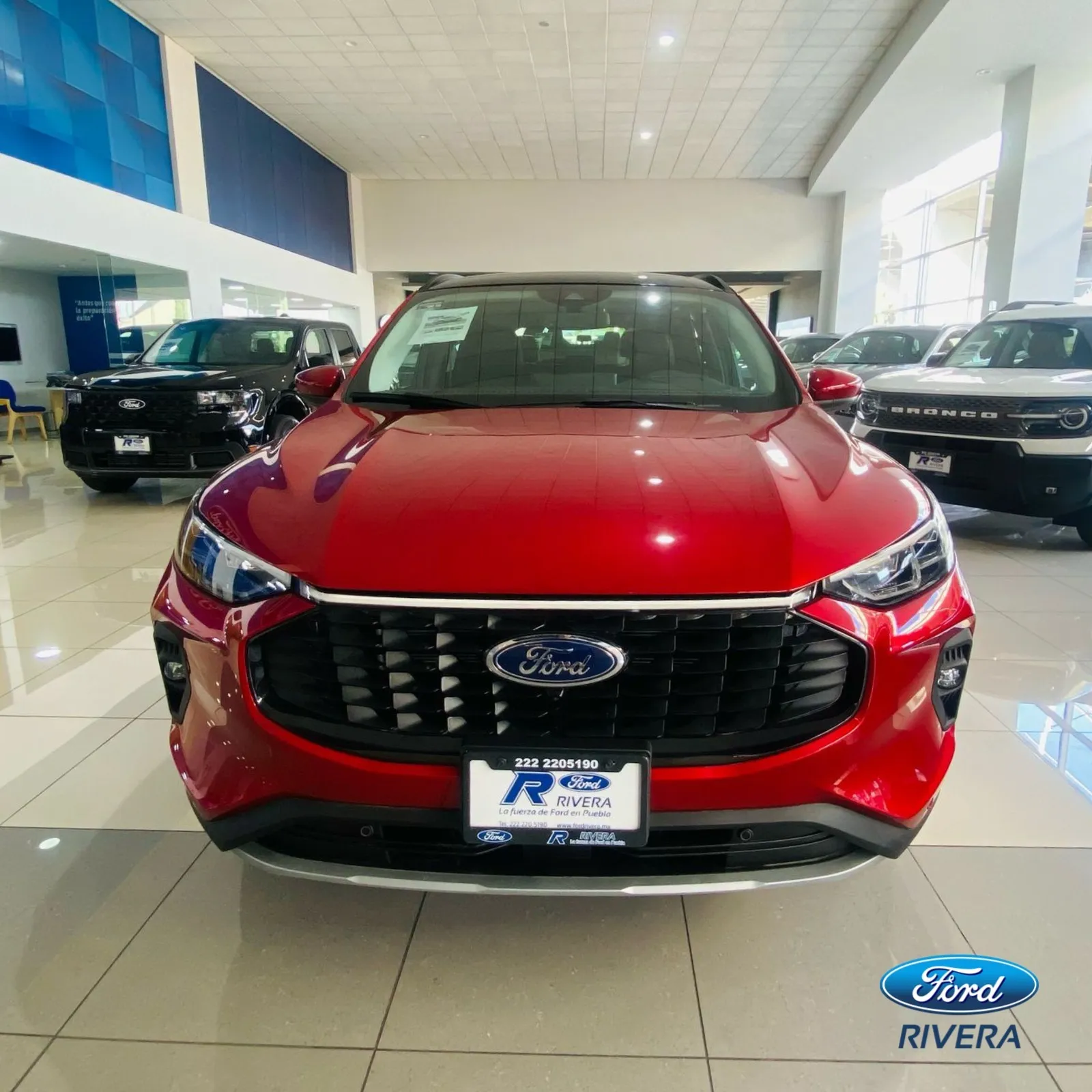 Ford Escape Platinum