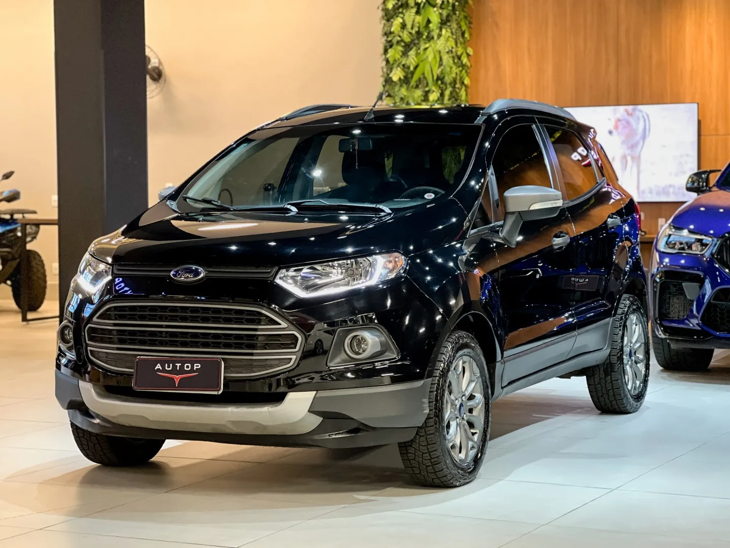 Ford Ecosport 1.6 Freestyle 16v Flex 4p Powershift