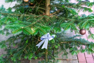 Un árbol de Navidad con decoraciones