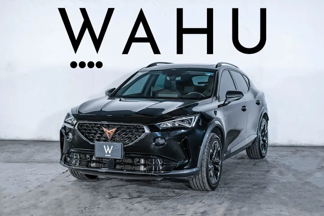 Cupra Formentor 2.0 Mid 190hp 2wd Dsg7