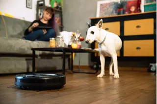 Roomba para mascotas: optimiza la limpieza de tu hogar de forma amigable