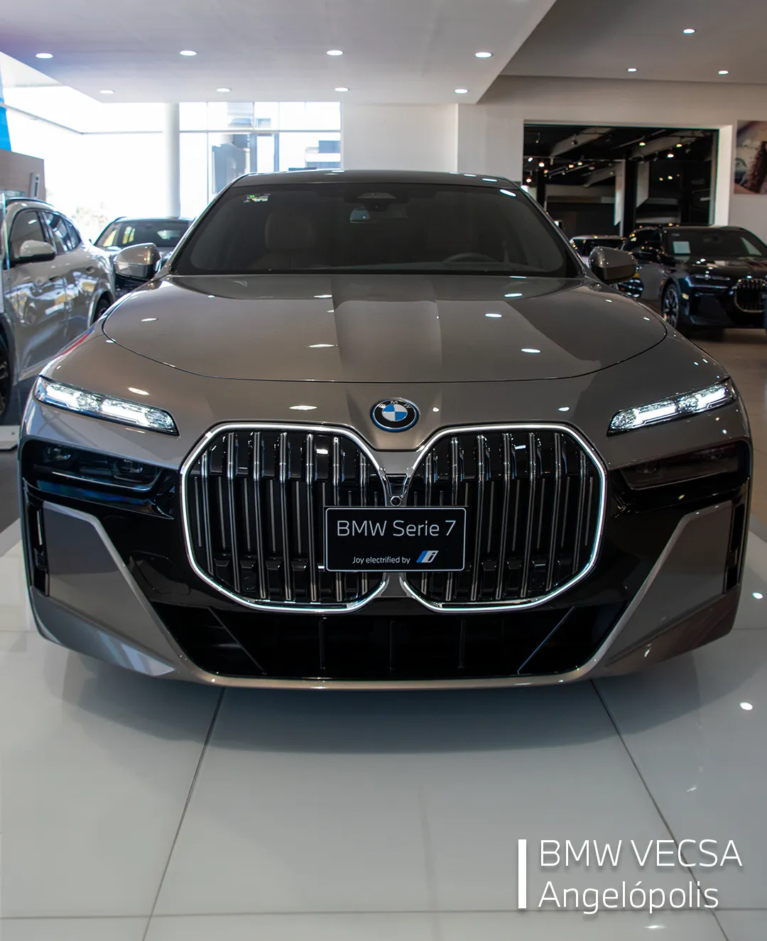 Bmw Serie 7 3.0 750e Xdrive Hibrido Conectable