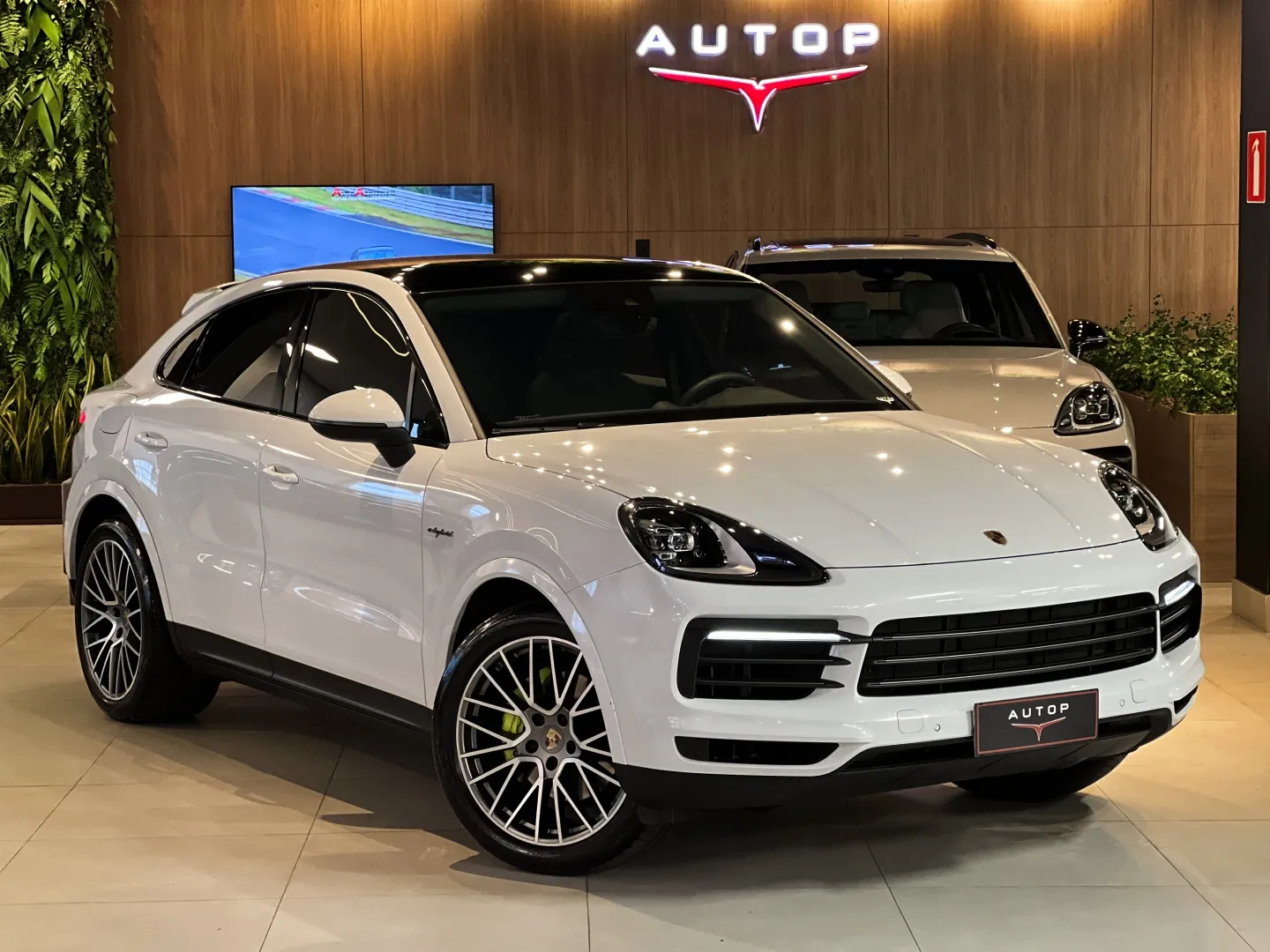 Porsche Cayenne 3.0 V6 E-hybrid Coupé Platinum Edition Awd T