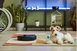 iRobot roomba: modelo 650 vs. modelo 880, elige el adecuado para tu hogar.