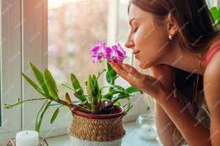 conozca todo sobre los sustratos para orquideas 