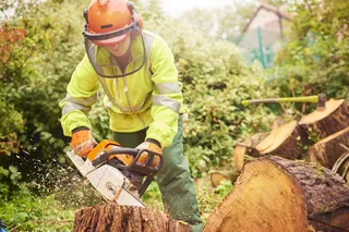 Motosierras Stihl vs. Husqvarna: una comparación de las marcas líderes