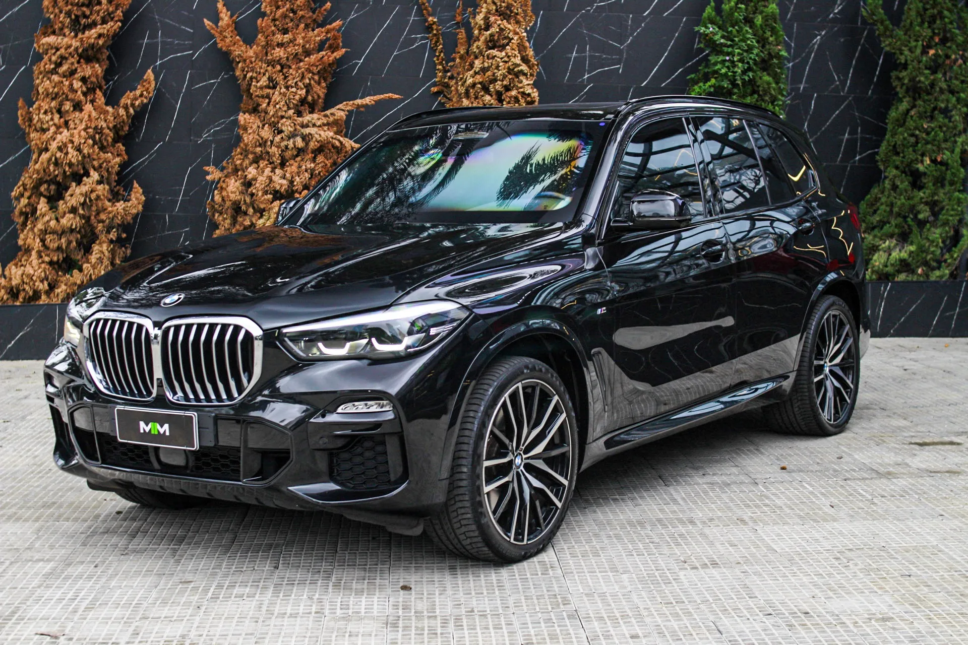 Bmw X5 3.0 4x4 30d I6 Turbo Diesel 4p Automático