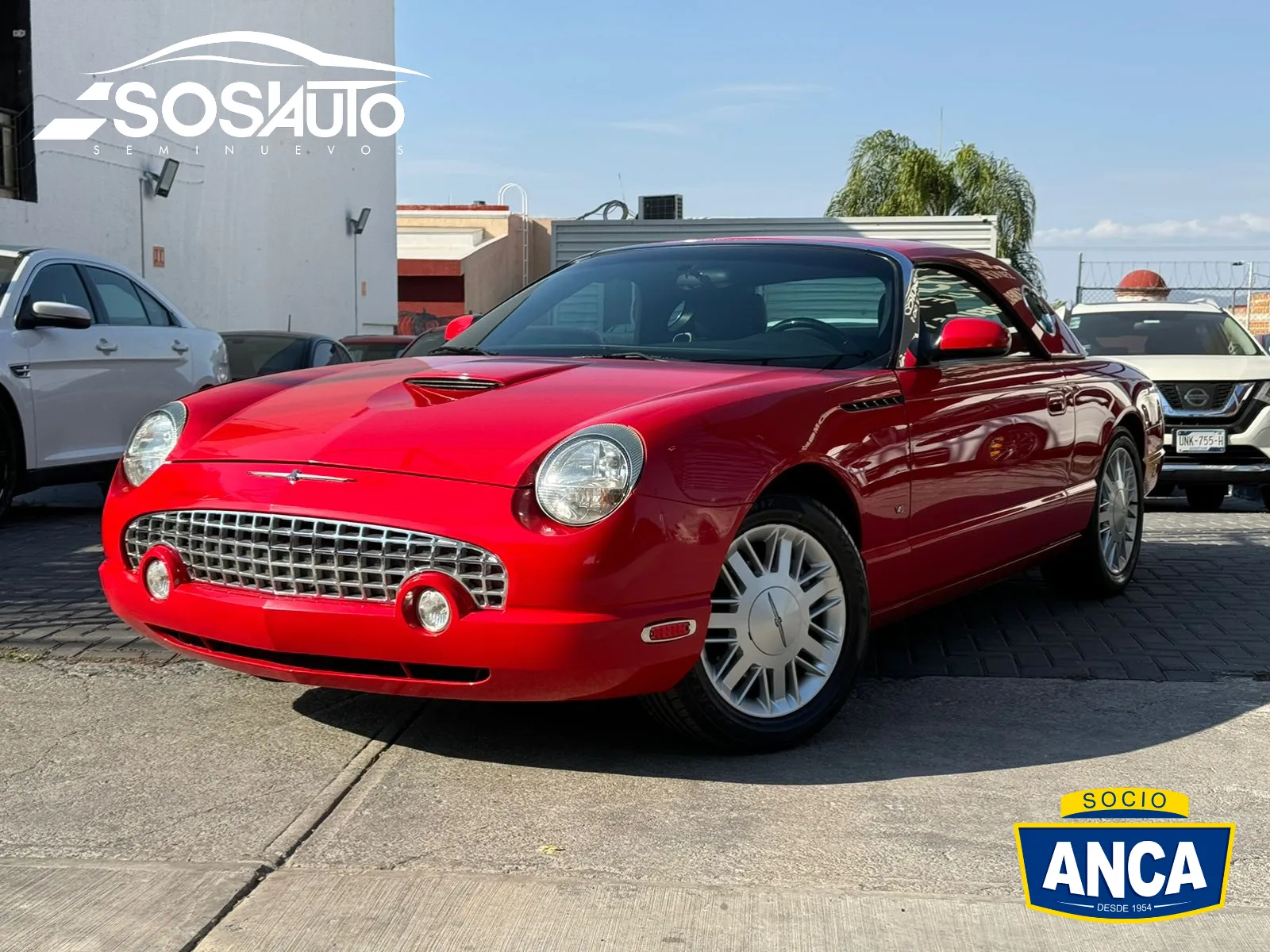 Ford Thunderbird Convertible Piel At