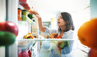 descubre la variedad de opciones de refrigeradores