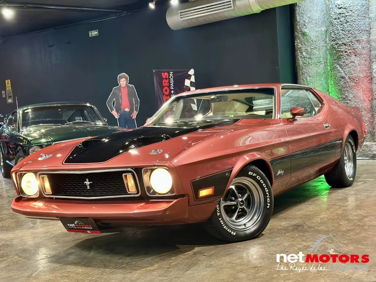 Ford Mustang Mach 1 1973