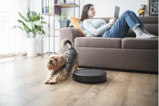 Entre Osoji vs Roomba: explorando el futuro de la limpieza automatizada