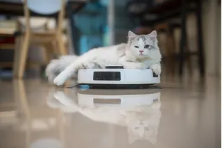 Roomba 890 vs 980: revelando las características de cada una