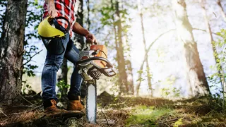 Motosierra Husqvarna modelo 61: descubra todo su potencial y rendimiento