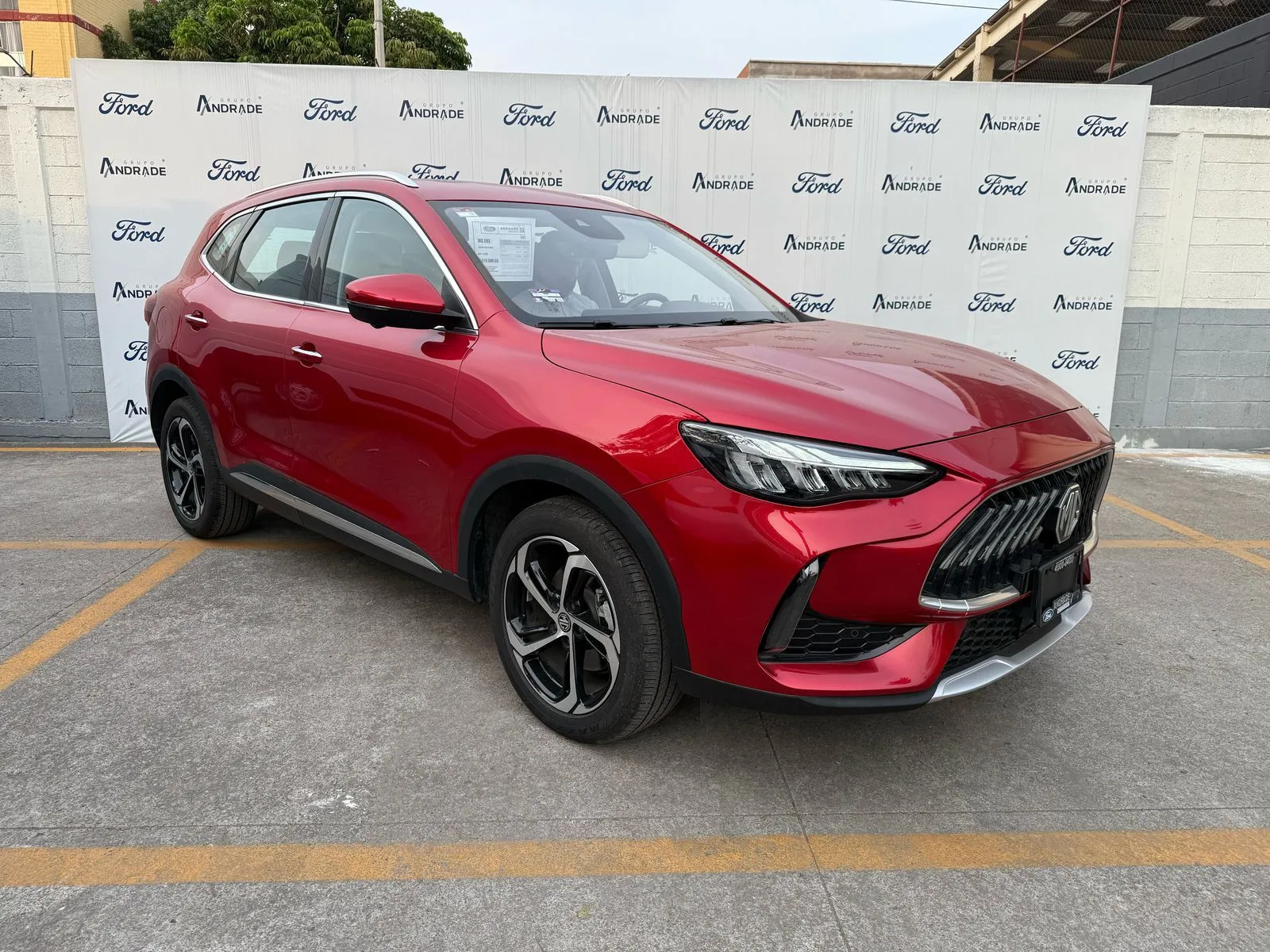 Mg Hs 2024