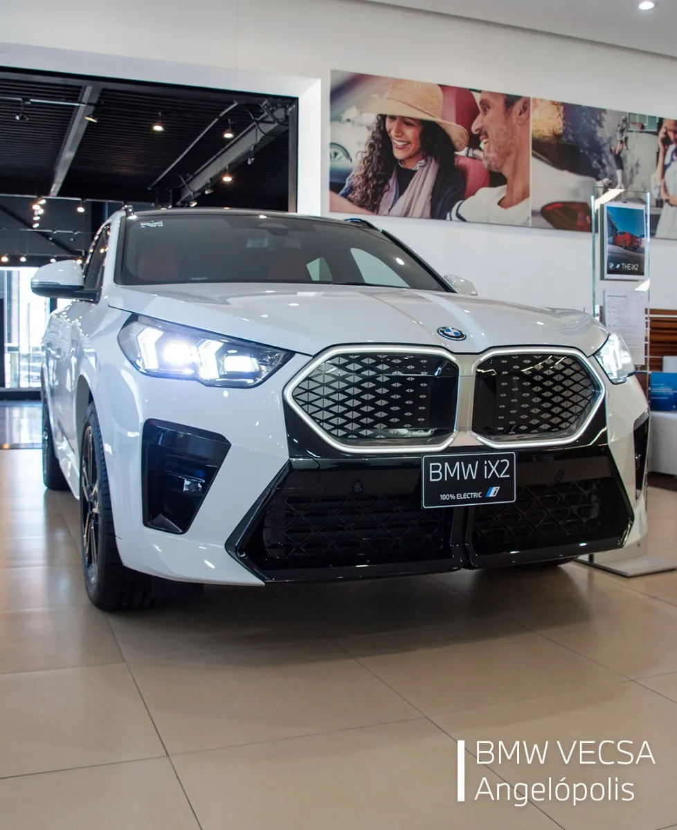 Bmwi 