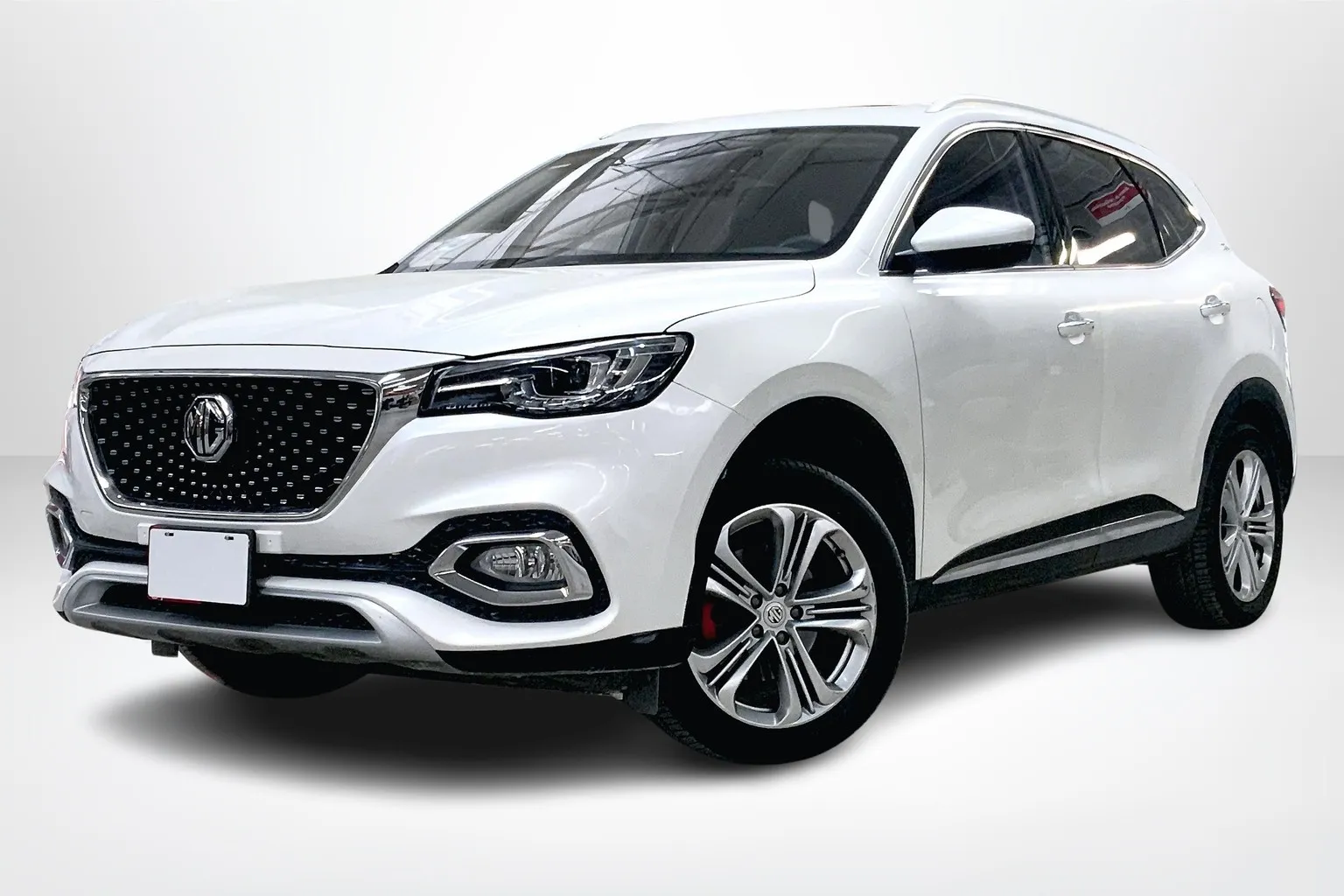 Mg Hs 2021