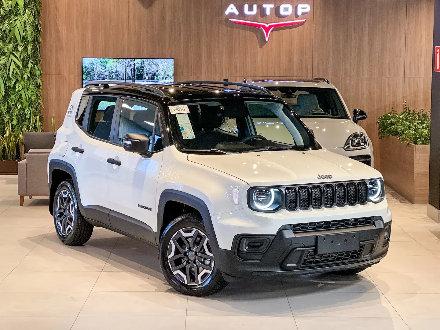 Jeep Renegade 1.3 T270 Turbo Flex Sport Altitude At6