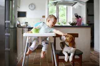 Kiddo: historia, productos para bebés, tecnologías y más