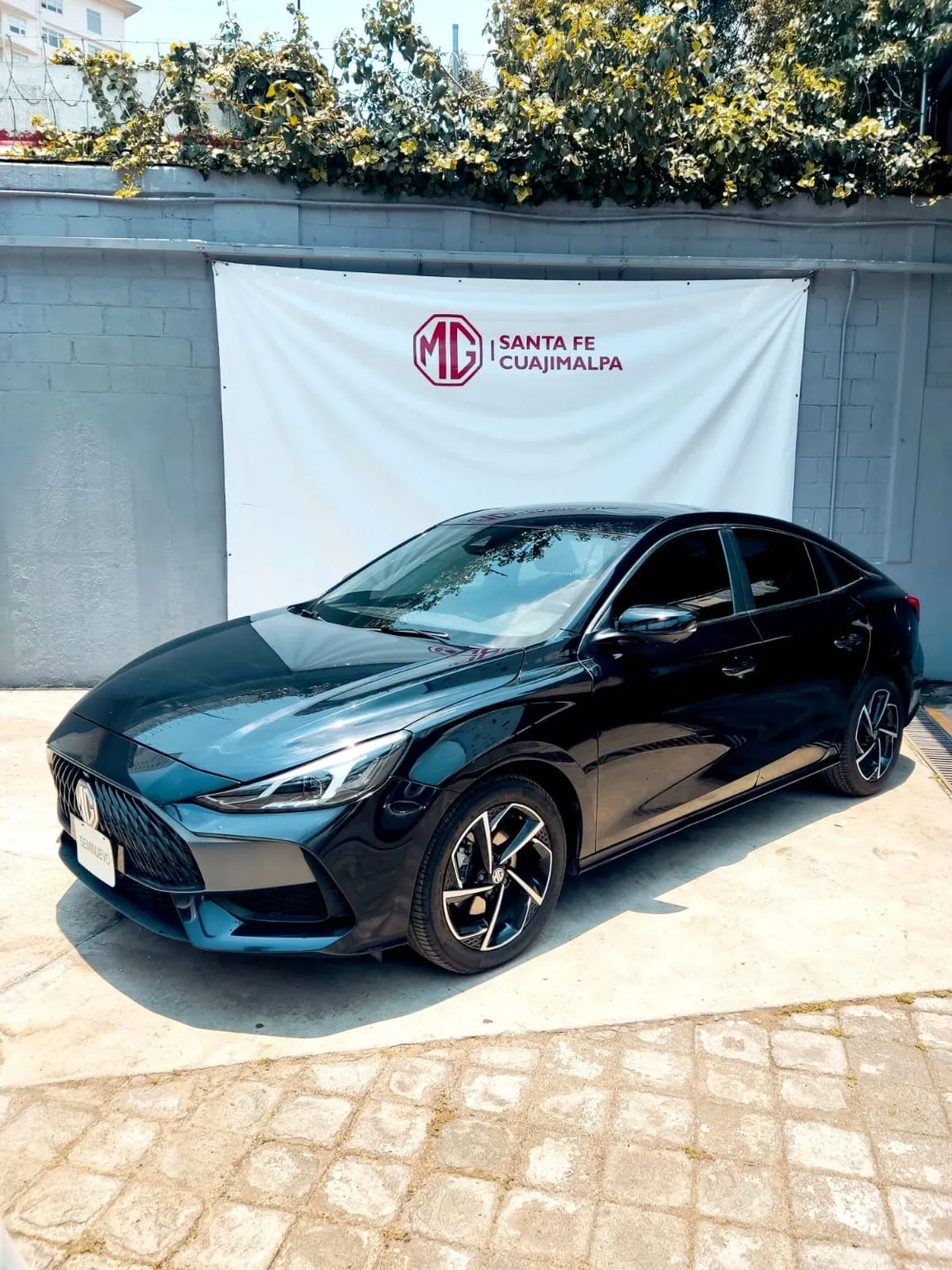 Mg Gt 2023